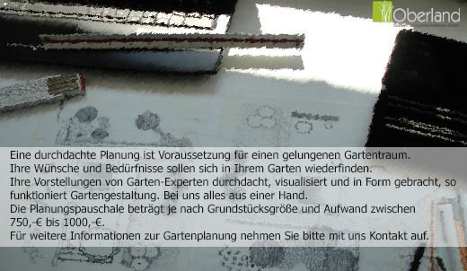 bild11